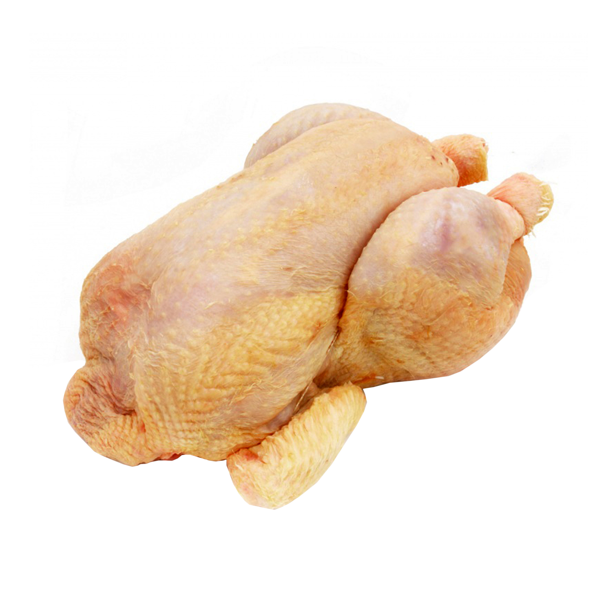 Мясо утки на белом фоне. Куры бройлеры мясо упаковка. Тушка с доставкой. Тушка курицы на прозрачном фоне. Тушка цыпленка бройлера 600 грамм.